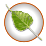 Bodhi Linux 7.0 mit Kernel 6.4 ist verfügbar