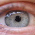 Überwachung: 9x so viele Anfragen des BKA zu IP-Adressen