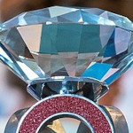 Ruder-WM Livestream kostenlos schauen